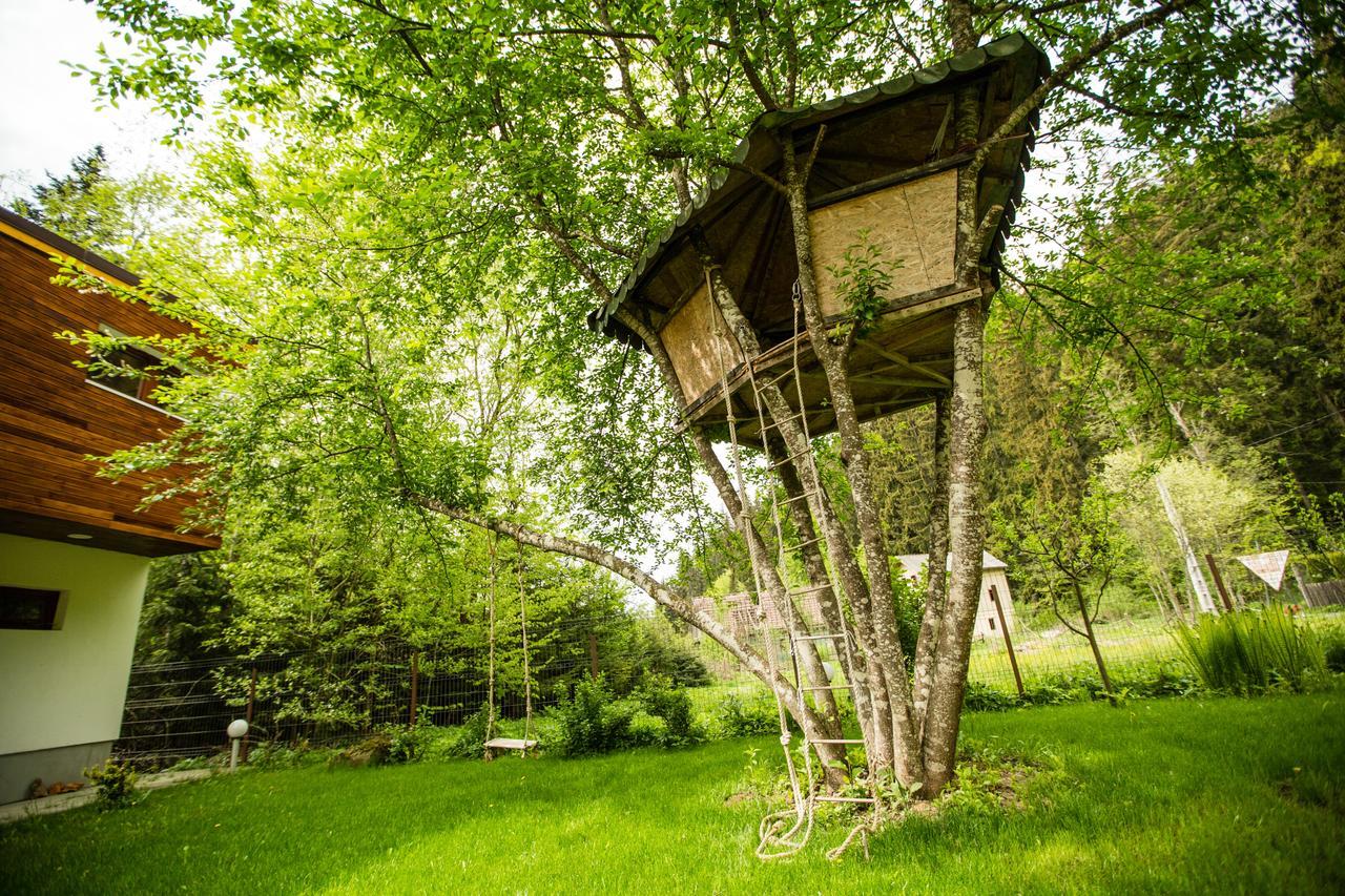 Cabana Jasmin Băile Chirui Extérieur photo